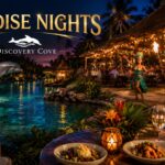 Paradise Nights no Discovery Cove: Conheça a Nova Experiência Noturna de Orlando em 2026